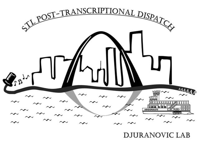 Djuranovic Lab to receive grant from RTW Charitable Foundation