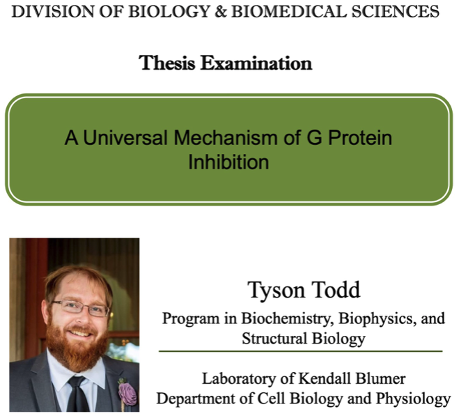 Thesis Examination