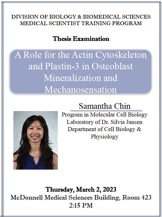 Thesis Defense: Samantha Chin