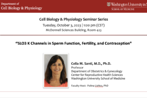Seminar Series: Celia Santi, MD, PhD