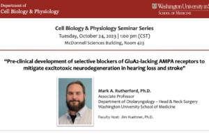 Seminar Series: Mark A. Rutherford, PhD