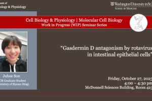CBP/MCB Work-in-Progress (WIP) Seminar: Juhee Son (Ding Lab)