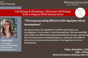 CBP/MCB Work-in-Progress (WIP) Seminar: Jade Enright (Clark Lab)