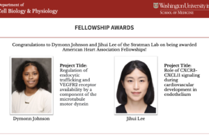 American Heart Association Fellowships