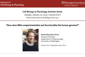 Seminar Series: David Shechner, PhD