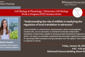 CBP/MCB Work-in-Progress (WIP) Seminar: Sarah Koester (Dougherty Lab)