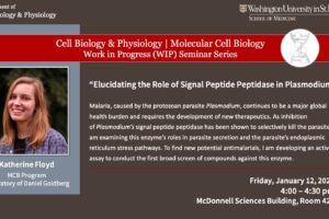 CBP/MCB Work-in-Progress (WIP) Seminar: Katherine Floyd (Goldberg Lab)