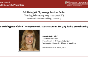 Seminar Series: Naomi Dirckx, PhD