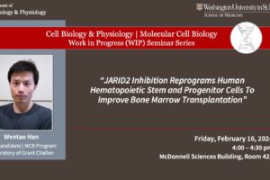 CBP/MCB Work-in-Progress (WIP) Seminar: Wentao Han (Challen Lab)