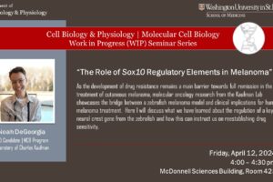 CBP/MCB Work-in-Progress (WIP) Seminar: Noah DeGeorgia (Kaufman Lab)