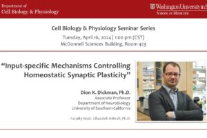 Seminar Series: Dion K. Dickman, Ph.D.