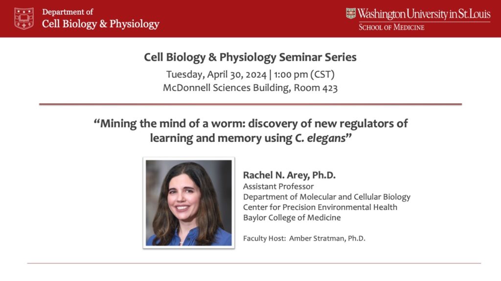 Seminar Series: Rachel N. Arey, Ph.D.