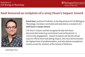 Kast honored as recipient of a 2025 Dean’s Impact Award