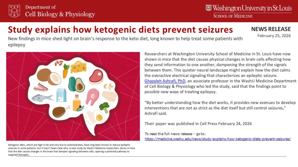 Ashrafi News Release