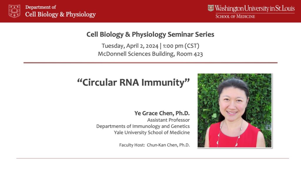 Seminar Series: Ye Grace Chen, Ph.D.
