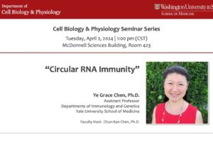 Seminar Series: Ye Grace Chen, Ph.D.