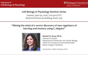 Seminar Series: Rachel N. Arey, Ph.D.