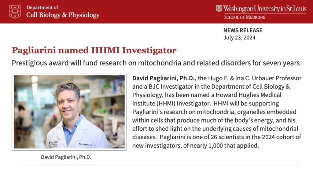 Pagliarini named HHMI Investigator