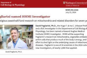 Pagliarini named HHMI Investigator
